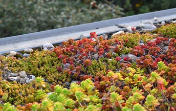 the cost of Harlosh green roof installation
