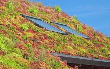 Harlosh living roof systems
