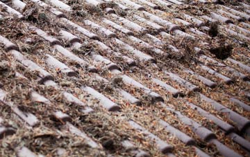 Harlosh roof cleaning companies