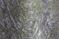 Harlosh fibreglass roof work